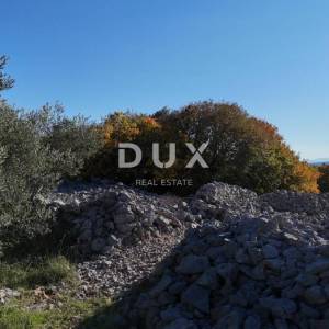 OTOK KRK - Stari maslinik sa 70 maslina i pogledom na more 20€/m2