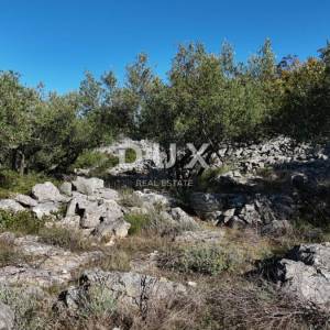 OTOK KRK - Stari maslinik sa 70 maslina i pogledom na more 20€/m2