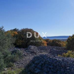 OTOK KRK - Stari maslinik sa 70 maslina i pogledom na more 20€/m2