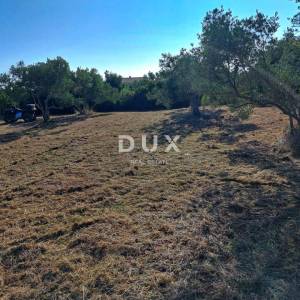 OTOK PAŠMAN, KRAJ - Pravilno građevinsko zemljište 200 m od mora