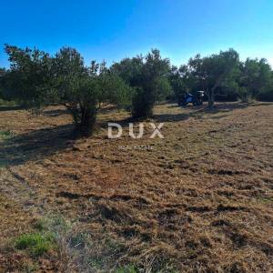 OTOK PAŠMAN, KRAJ - Pravilno građevinsko zemljište 200 m od mora