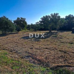 OTOK PAŠMAN, KRAJ - Pravilno građevinsko zemljište 200 m od mora