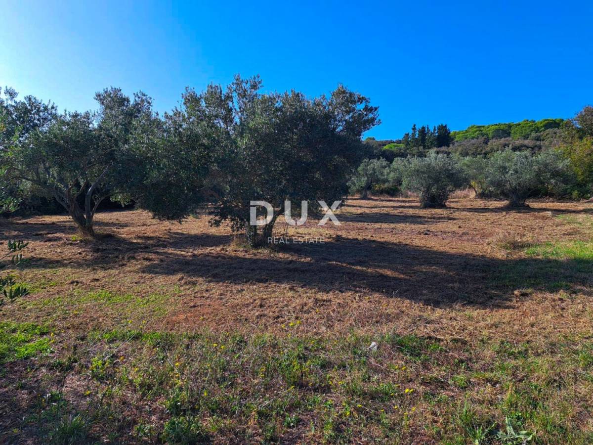 OTOK PAŠMAN, KRAJ - Pravilno građevinsko zemljište 200 m od mora