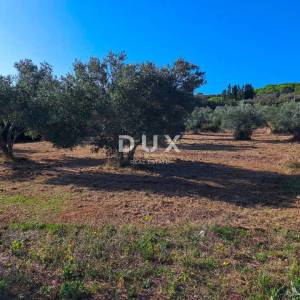 OTOK PAŠMAN, KRAJ - Pravilno građevinsko zemljište 200 m od mora