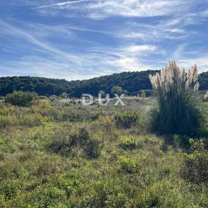 OTOK RAB, KAMPOR – građevinsko zemljište 500 m od mora