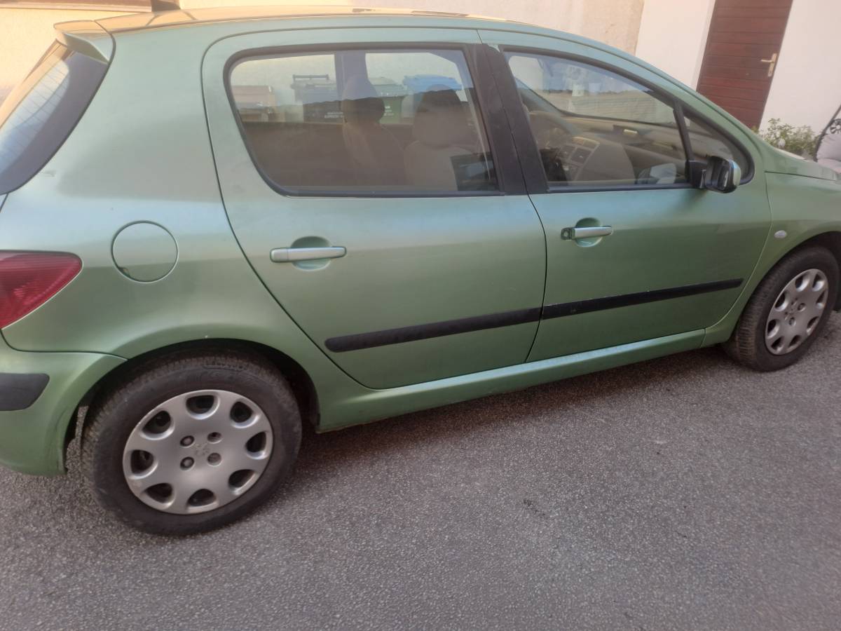 PEUGEOT 307