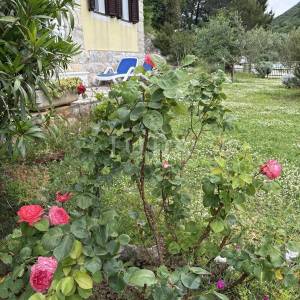 Plomin Luka, šarmantna kuća prvi red do mora, EKSKLUZIVNO