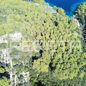 Poljoprivredno zemljiste s kućicom, nedaleko od mora, Vela Luka