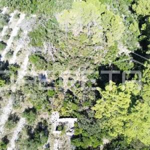 Poljoprivredno zemljiste s kućicom, nedaleko od mora, Vela Luka