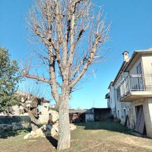 Poreč, okolica, obiteljska kuća na mirnoj lokaciji