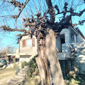Poreč, okolica, obiteljska kuća na mirnoj lokaciji