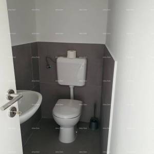 Predivna kuća s 3 stana i velikim zemljištem, Labin!