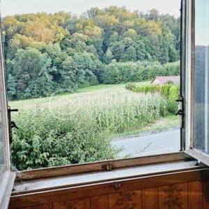 Pregrada/kuća sa 2000m2 okućnice/ za život ili najam/Povoljno! 