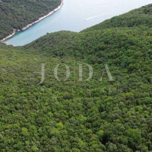 Prekrasno zemljište šuma 65.700m2,Labin okolica