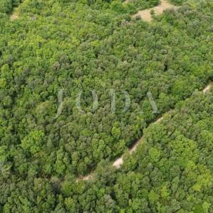 Prekrasno zemljište šuma 65.700m2,Labin okolica