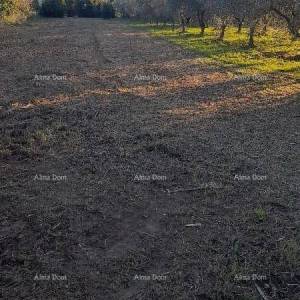 Premantura – građevinsko zemljište 1.793 m²