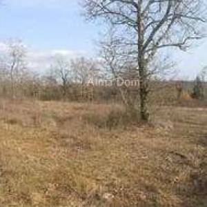 Prodaja građevinskih zemljišta, Grožnjan!