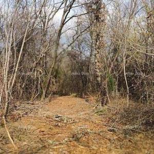 Prodaja građevinskih zemljišta, Grožnjan!