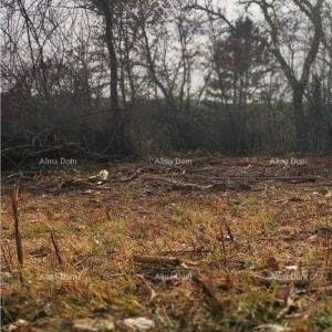 Prodaja građevinskih zemljišta, Grožnjan!