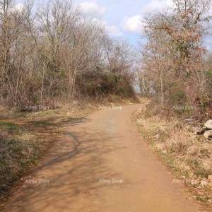 Prodaja građevinskih zemljišta, Grožnjan!