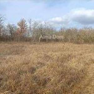 Prodaja građevinskih zemljišta, Grožnjan!