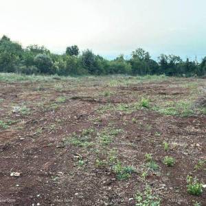 Prodaje se građevinsko zemljište, 4300m2 u industrijsko-poslovnoj zoni Šišan.