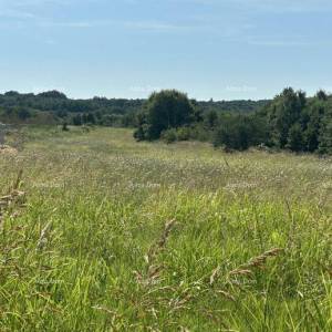 Prodaje se građevinsko zemljište, 5832m2, Barban