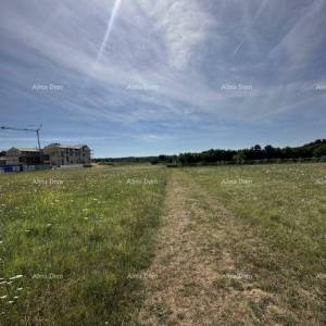 Prodaje se građevinsko zemljište, 5832m2, Barban