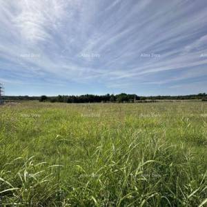 Prodaje se građevinsko zemljište, 5832m2, Barban