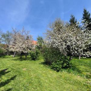 Ravna Gora kuća