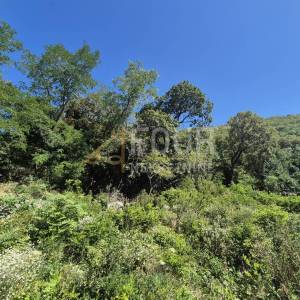 Rijeka, Svilno, građevinsko zemljište, 2.125m2