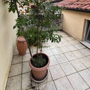 Rijeka, Trsat, dvoetažni stan, 5s+db, 120.80m2, balkon i terasa
