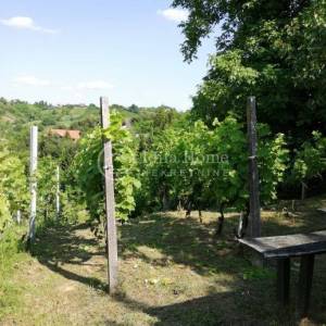 Samobor/Kladje Vinograd i voćnjak ukupne površine 1252 m2 !!!