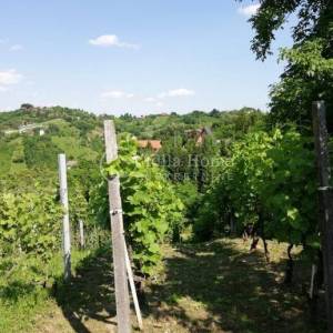 Samobor/Kladje Vinograd i voćnjak ukupne površine 1252 m2 !!!