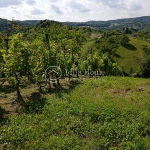 Samobor/Kladje Vinograd i voćnjak ukupne površine 1252 m2 !!!