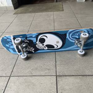 Skateboard