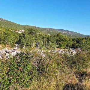 Smokvica, građevinski teren 3938 m2