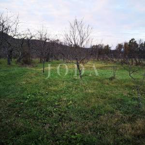 Somostojeća kuća sa velikom okućnicom,Boljun okolica