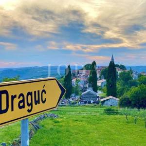 Starina za adaptaciju,Draguć CEROVLJE