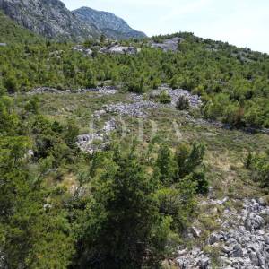 Stinica građevinsko zemljište Pejice