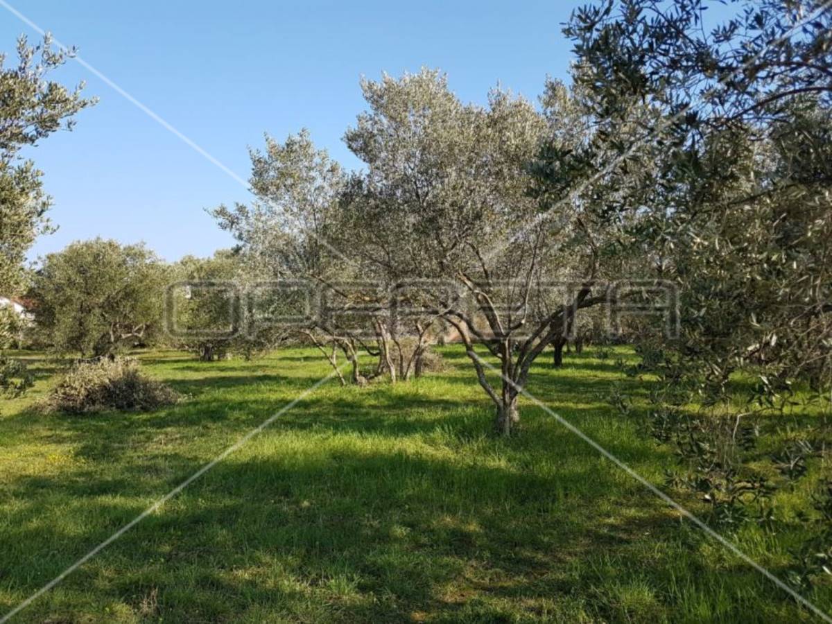 Sukošan, Sukošan, 961,00 m2, 307.000,00 EUR