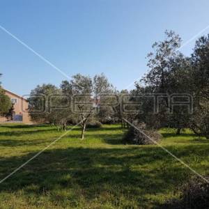 Sukošan, Sukošan, 961,00 m2, 307.000,00 EUR