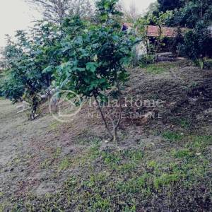 Sveta Nedelja zemljište od 1481m2 sa vikend kućicom/POVOLJNO!!!!
