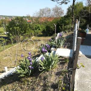 Sveta Nedelja zemljište od 1481m2 sa vikend kućicom/POVOLJNO!!!!