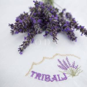Tribalj kuća s bazenom