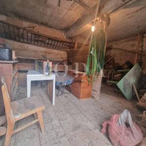 Tribalj, kuća,gospodarska zgrada, prostrana okućnica i oranica