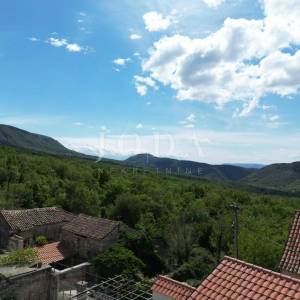 Tribalj spoj modernog i autohtonog