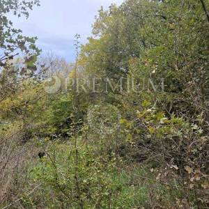 Uvala Soline, poljoprivredno zemljište 3.640 m!