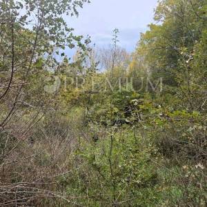 Uvala Soline, poljoprivredno zemljište 3.640 m!