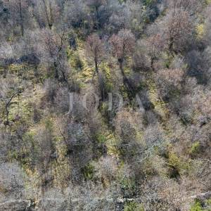 Veliko neurbanizirano zemljište blizu Krka, potencijal!
